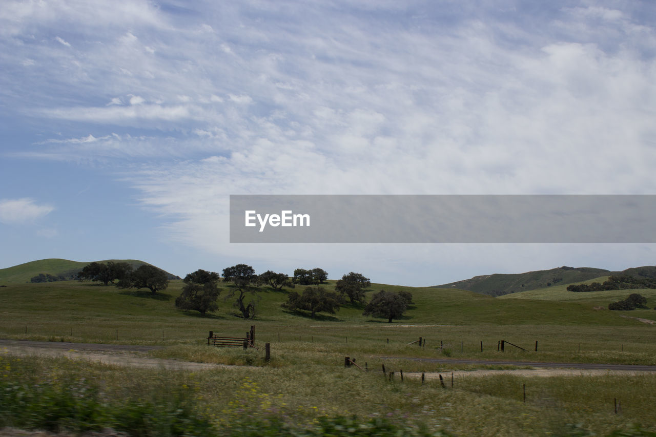 SCENIC VIEW OF LANDSCAPE