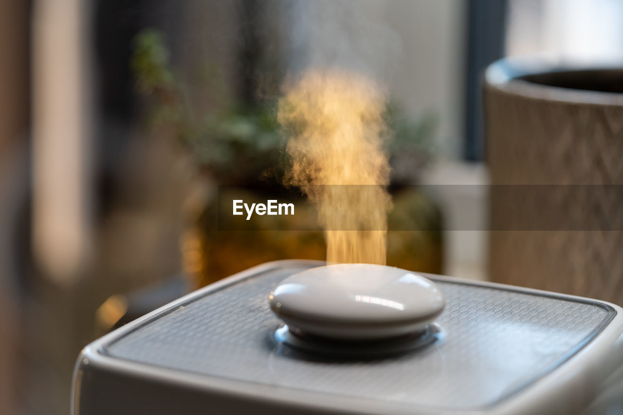 Steam from humidifier, moistens dry air surrounded by indoor houseplants. home garden, plant care