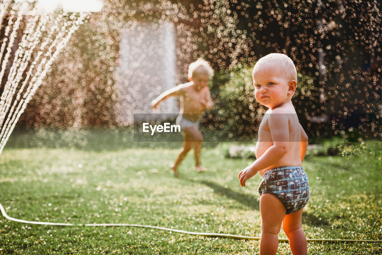 Young children playing with water from sprinkler in the backyard