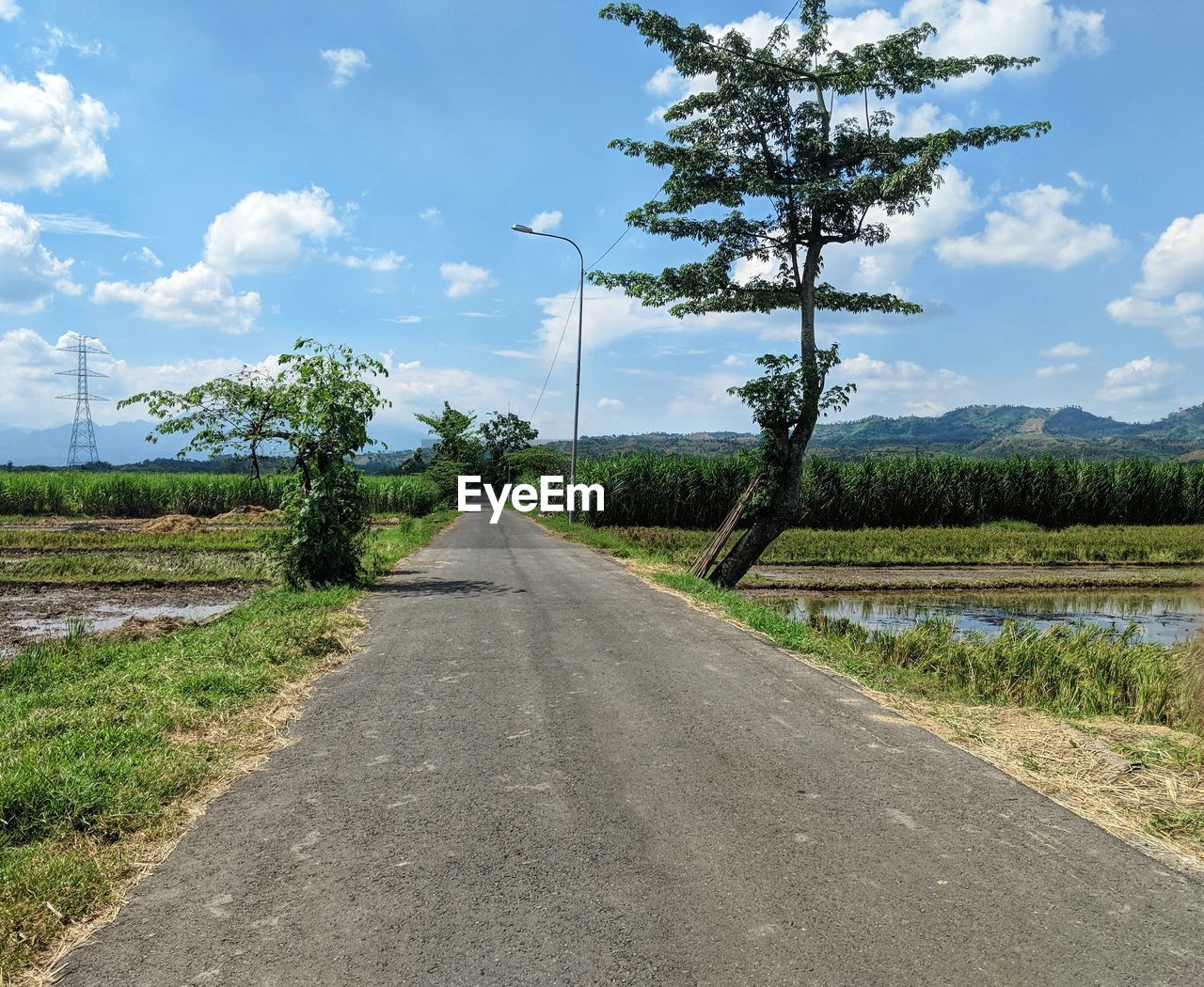 EMPTY ROAD AMIDST TREES AGAINST SKY