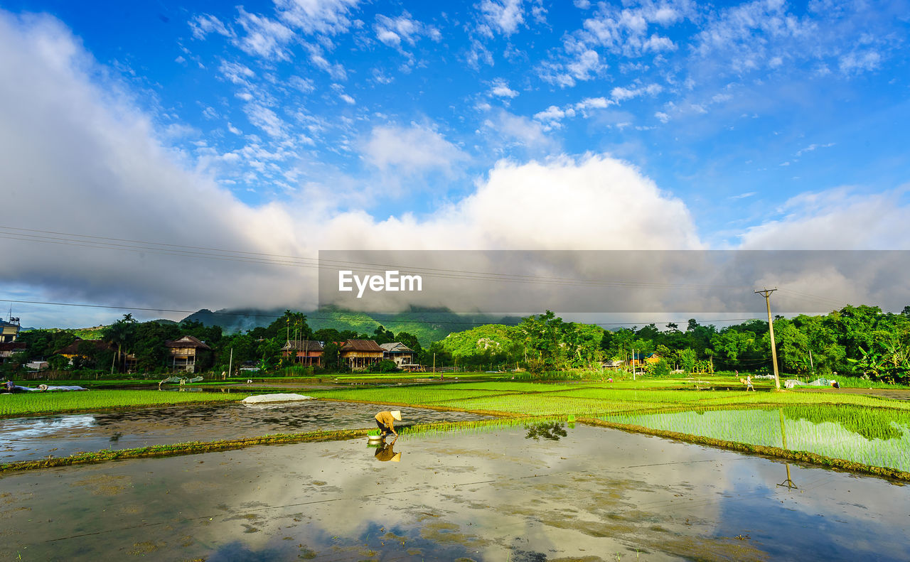 SCENIC VIEW OF LANDSCAPE AGAINST CLOUDY SKY