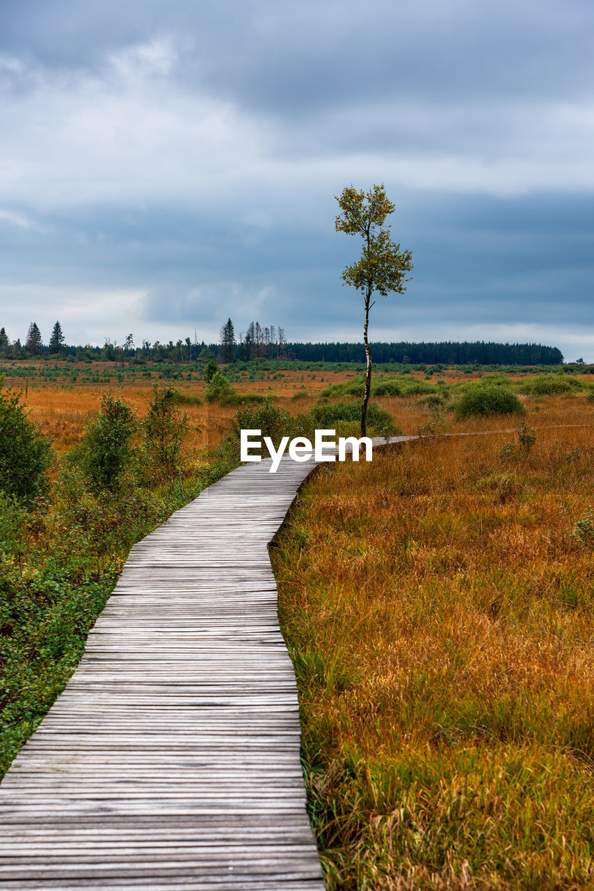 SCENIC VIEW OF FIELD AGAINST CLOUDY SKY