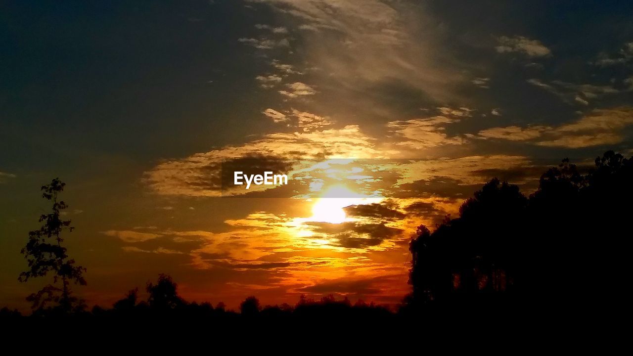 SCENIC VIEW OF SILHOUETTE TREES AGAINST SKY AT SUNSET