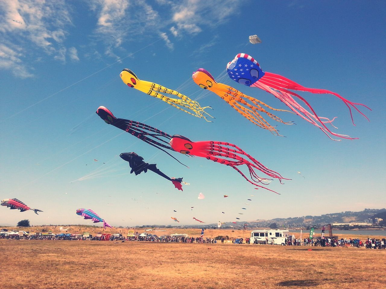 Low angle view of kites against blue sky