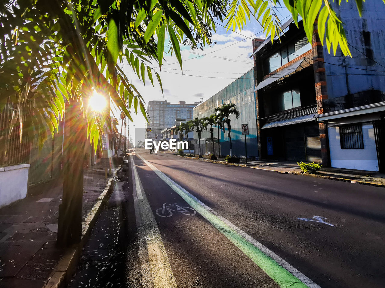 Street amidst houses and trees against sky