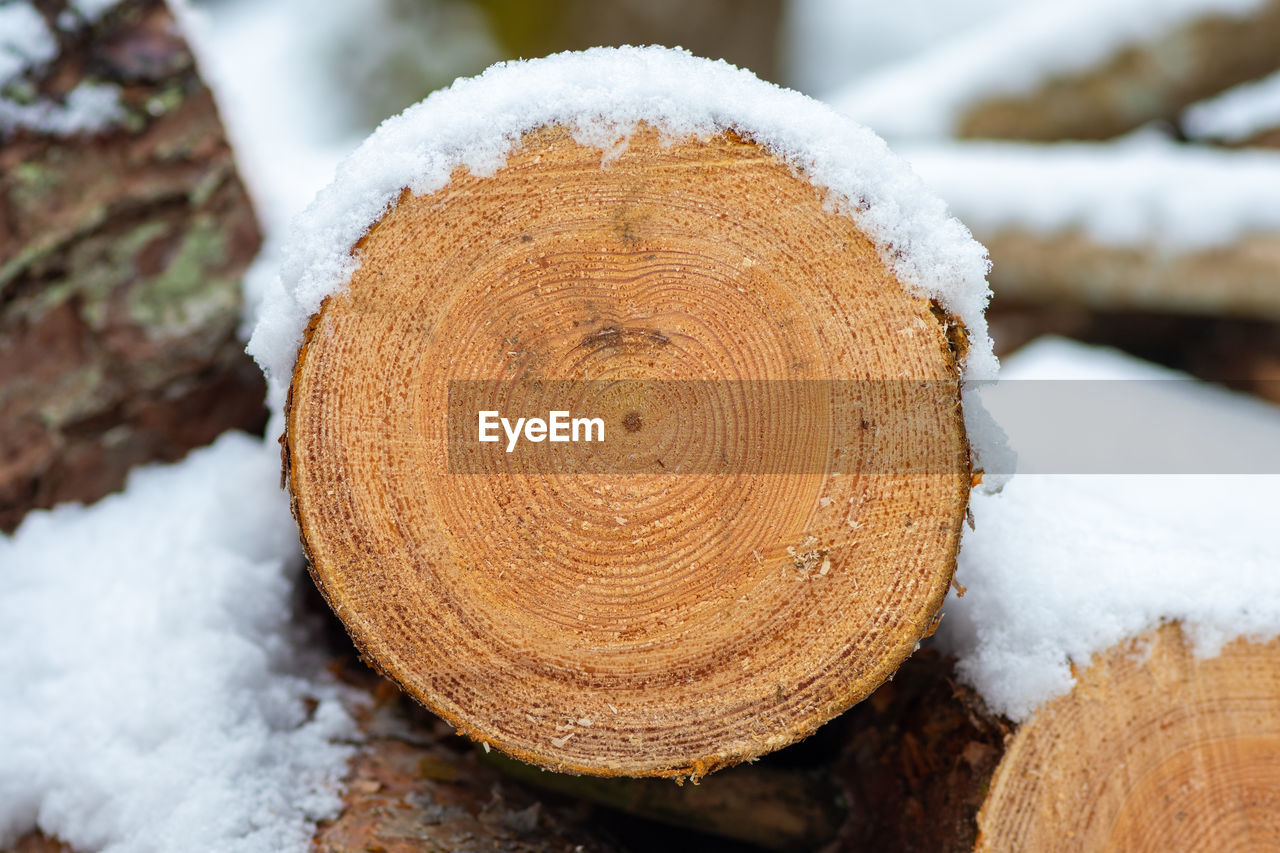 Stack or pile composed of blocks, pieces or logs of wood in winter or spring with snow