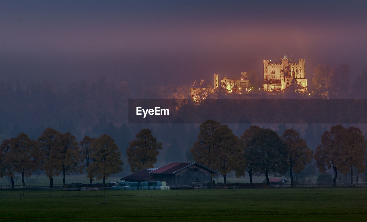 Trees and hohen schwangau castle against misty sunset