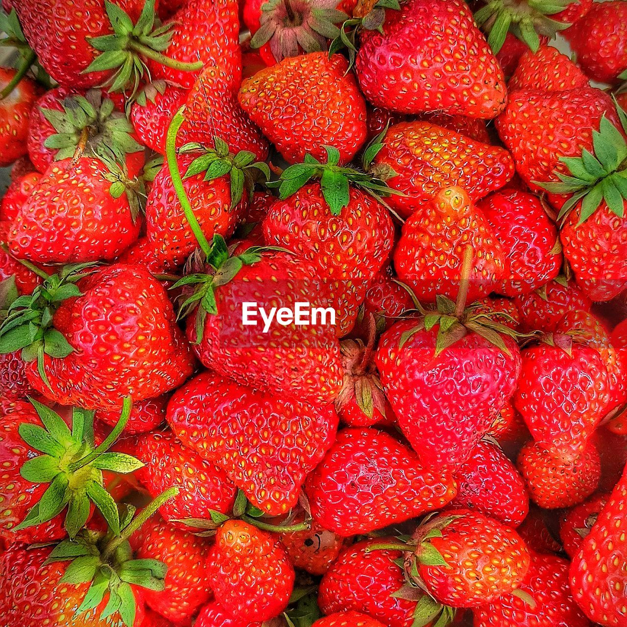 FULL FRAME SHOT OF FRESH STRAWBERRIES