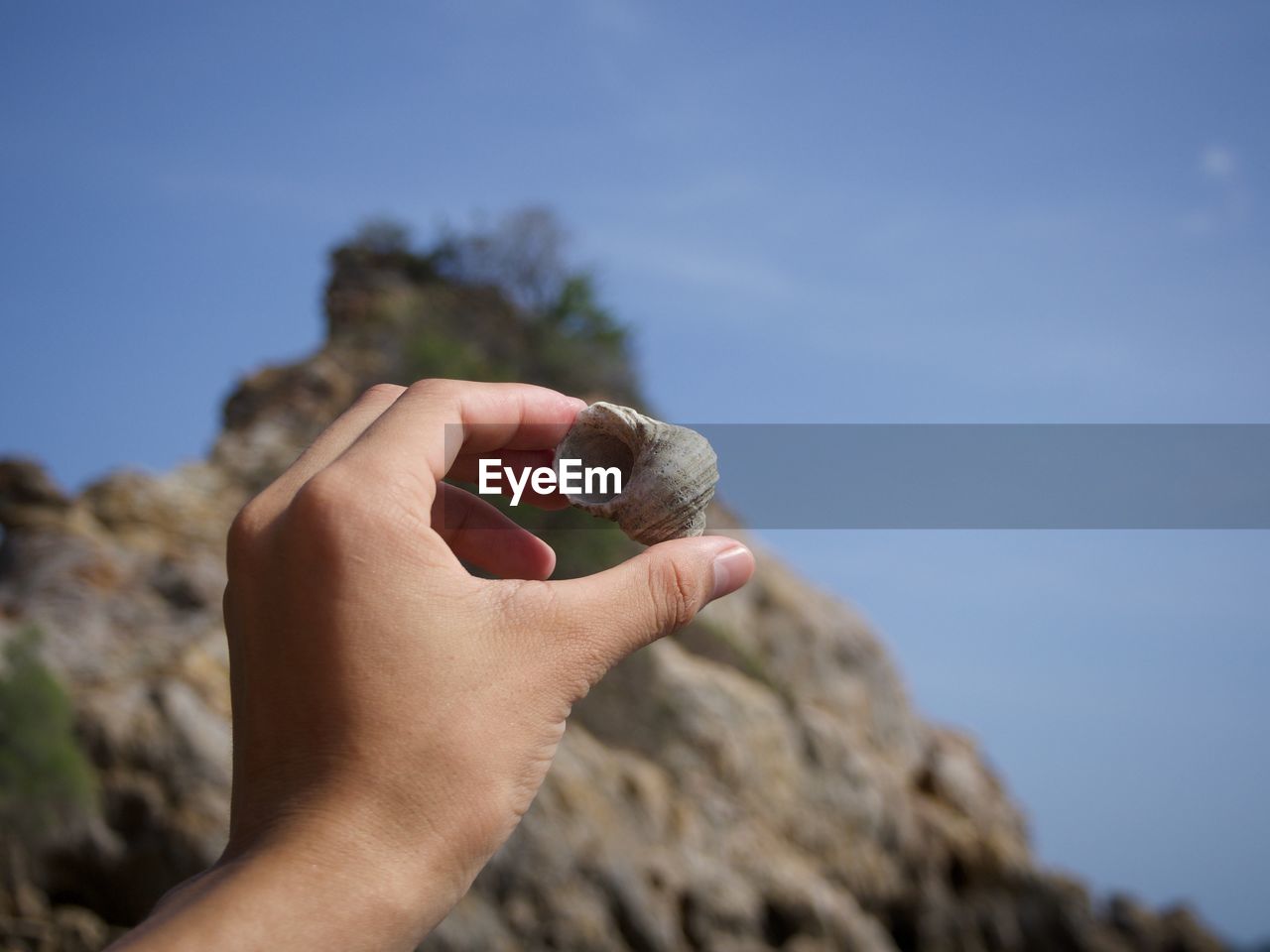 Close-up of human hand holding seashell at beach against sky