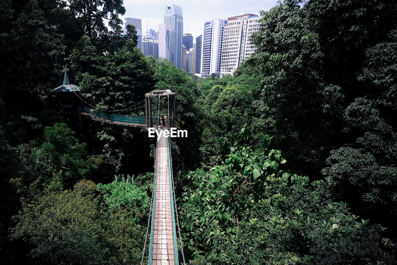 RAILROAD TRACKS AMIDST TREES AND BUILDINGS