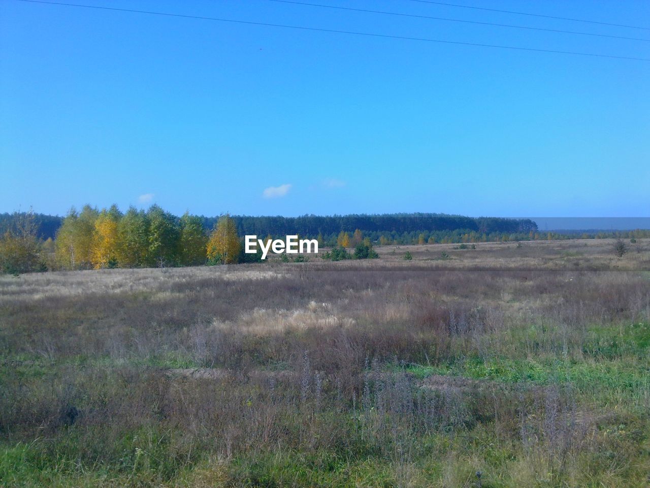 SCENIC VIEW OF LAND AGAINST CLEAR SKY