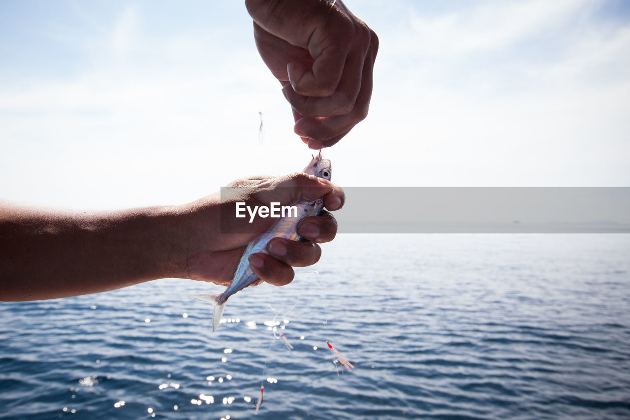 Cropped hands holding fish against sea