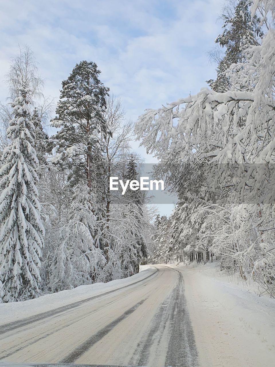 snow, cold temperature, winter, tree, road, transportation, plant, nature, scenics - nature, environment, the way forward, pine tree, landscape, sky, coniferous tree, pinaceae, no people, beauty in nature, land, pine woodland, forest, non-urban scene, frozen, mountain, travel, cloud, tranquil scene, frost, white, diminishing perspective, tranquility, day, freezing, outdoors, piste, travel destinations, tire track, vanishing point, mountain range, journey, empty road, woodland, ice