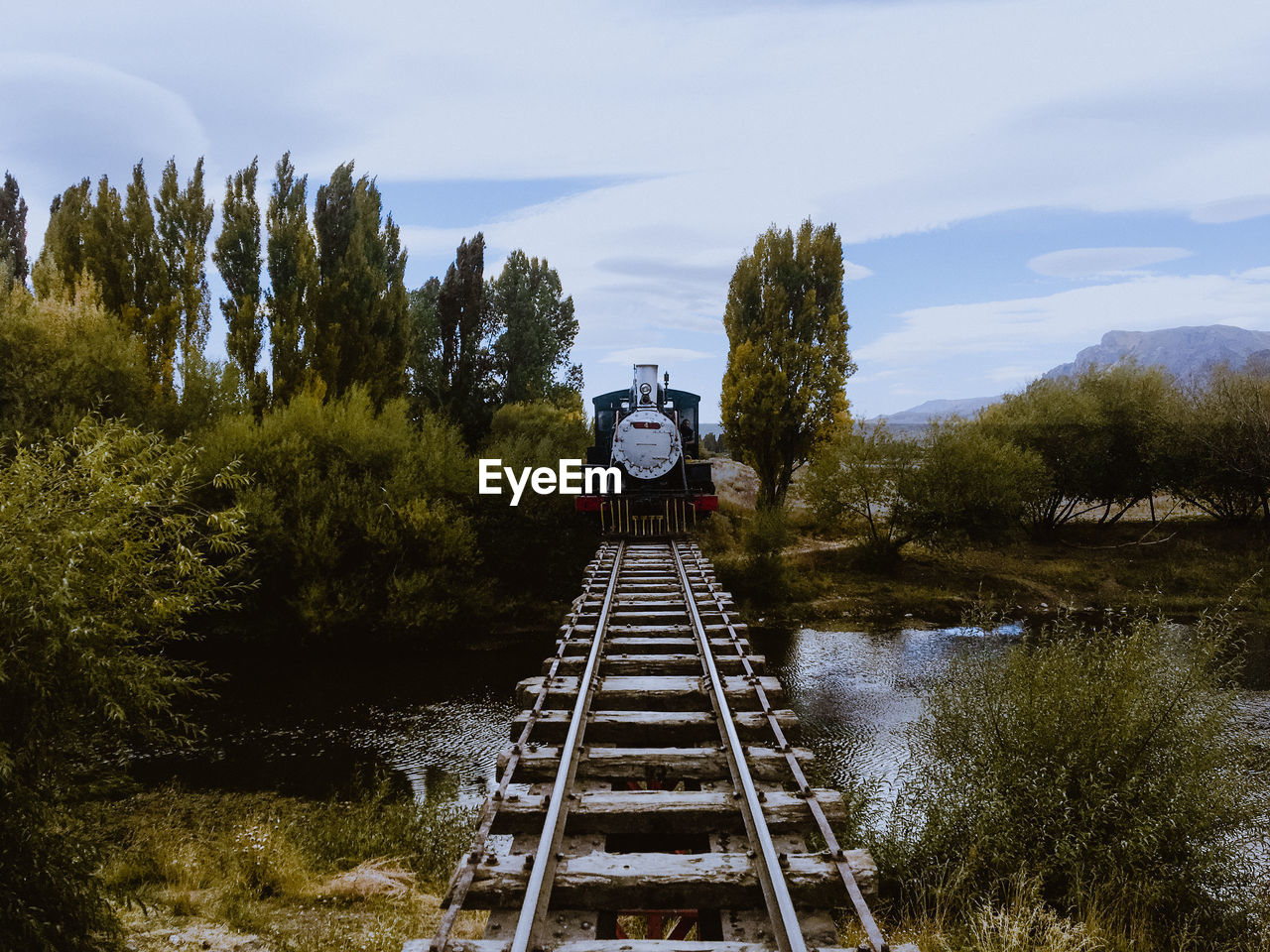 Train on railroad track amidst trees against sky