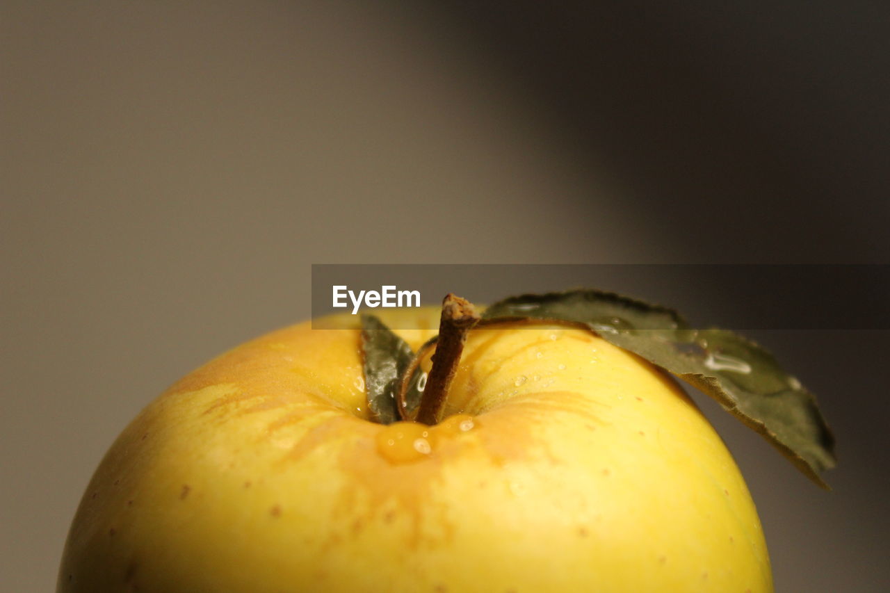 CLOSE-UP OF APPLE ON PLATE