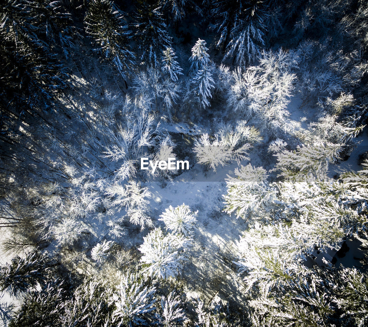 FULL FRAME SHOT OF SNOWFLAKES ON SNOW