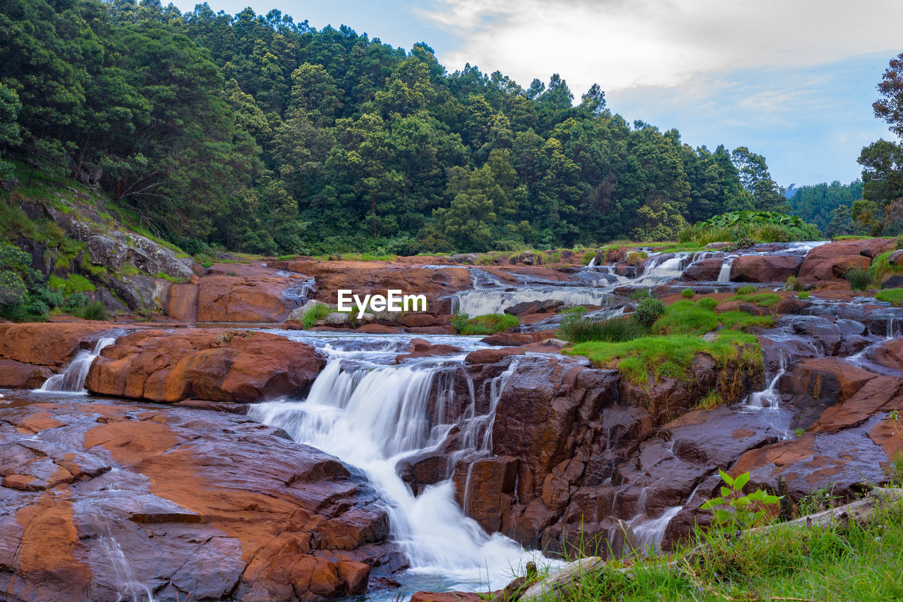 Scenic view of waterfall in forest