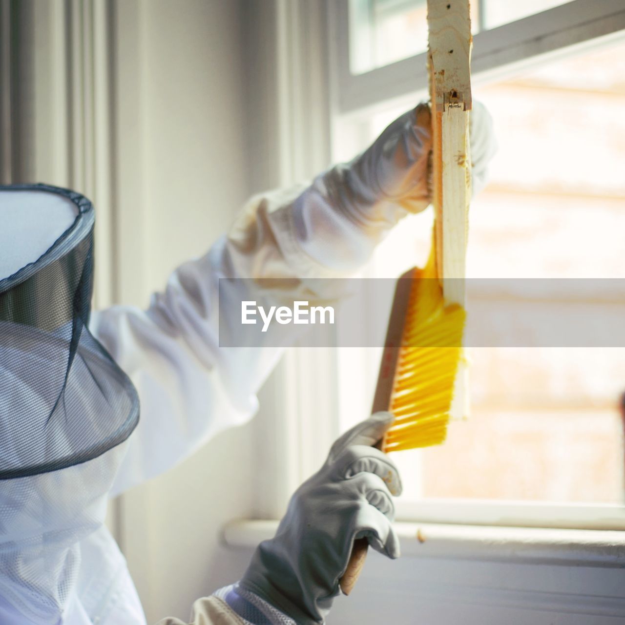 Close-up of beekeeper cleaning beehive against window