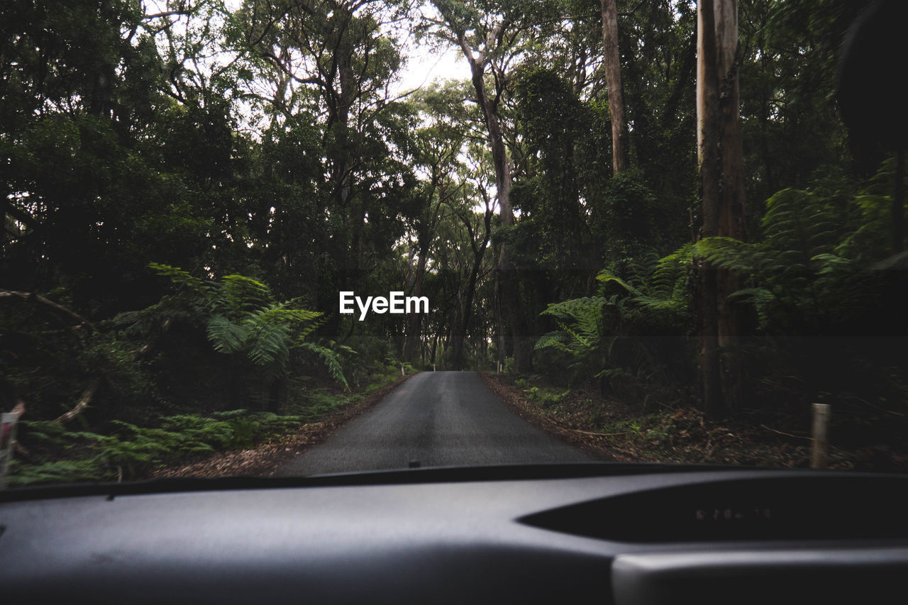 Road amidst trees seen through car windshield