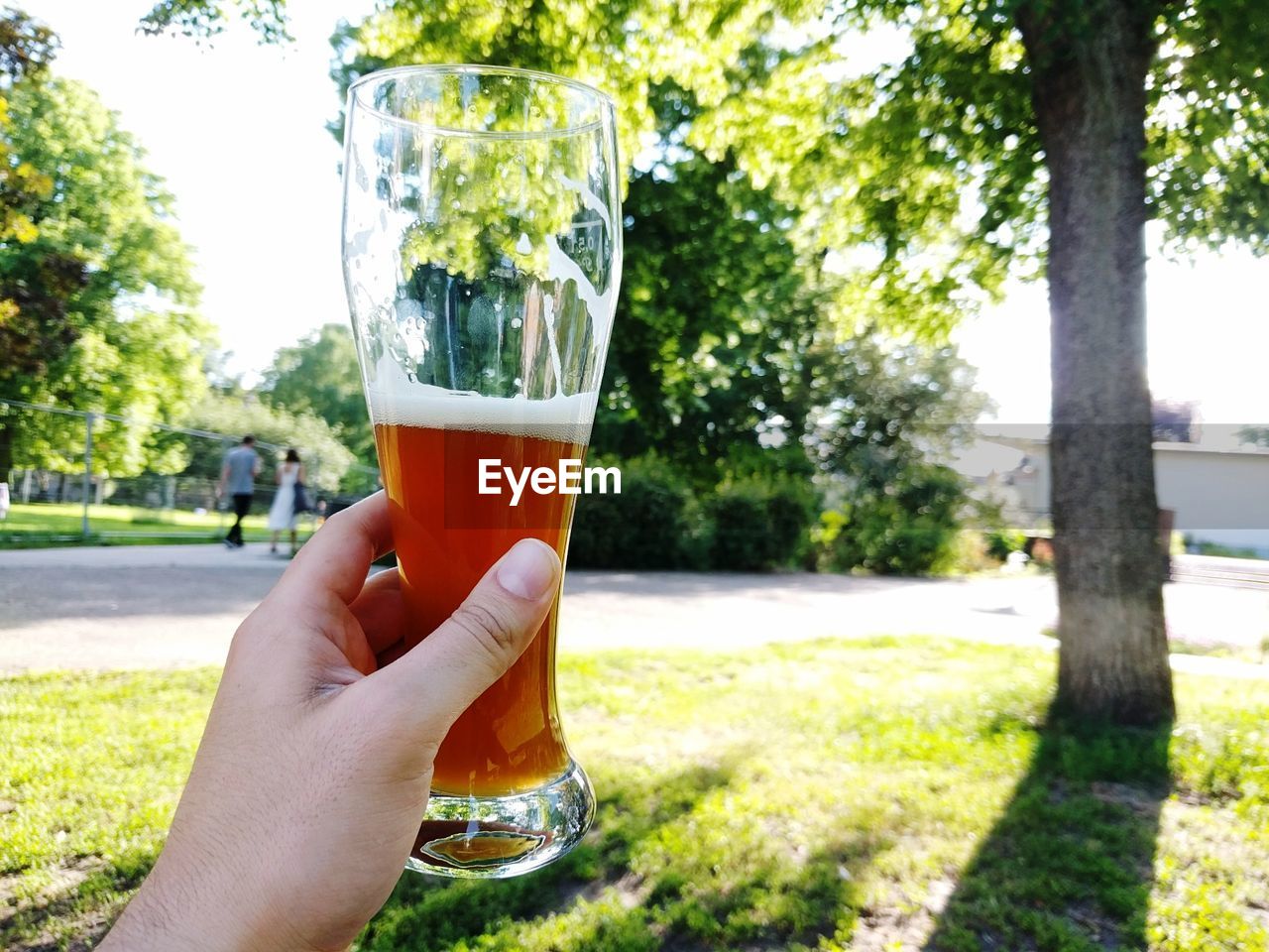 Close-up of hand holding beer glass against trees