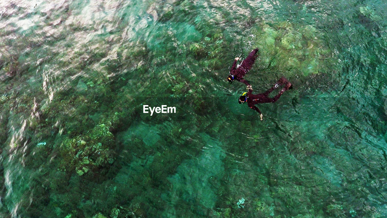 High angle view of people snorkeling in turquoise sea