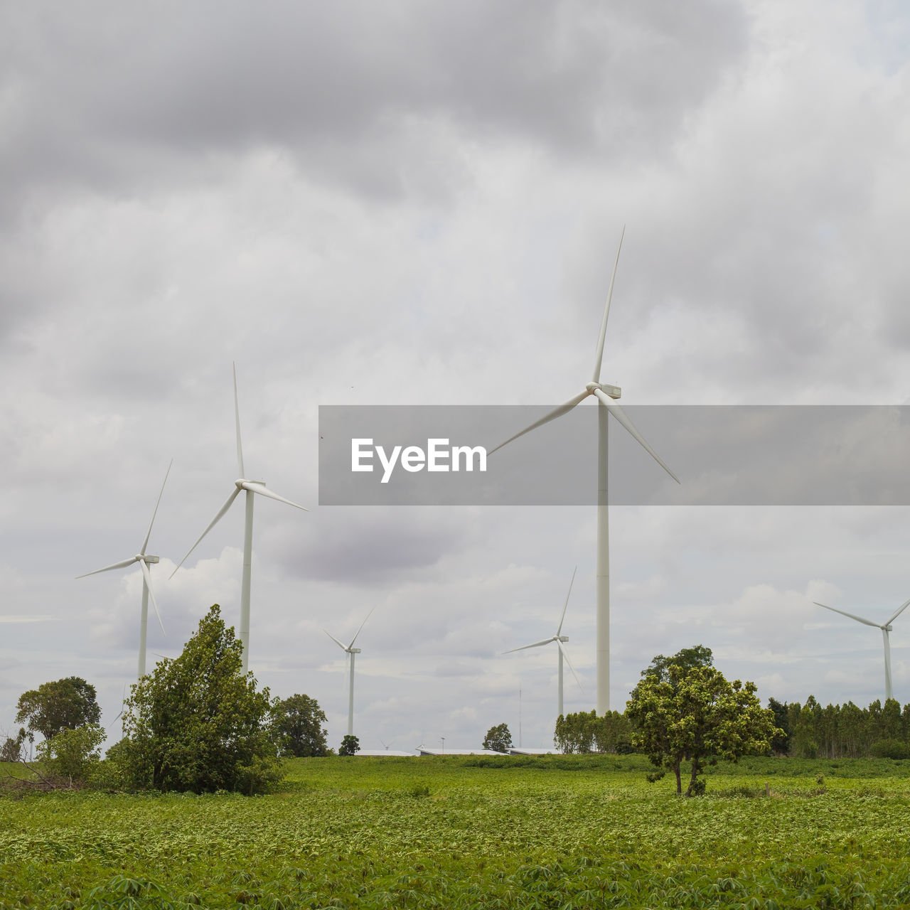 Windmills on field against sky