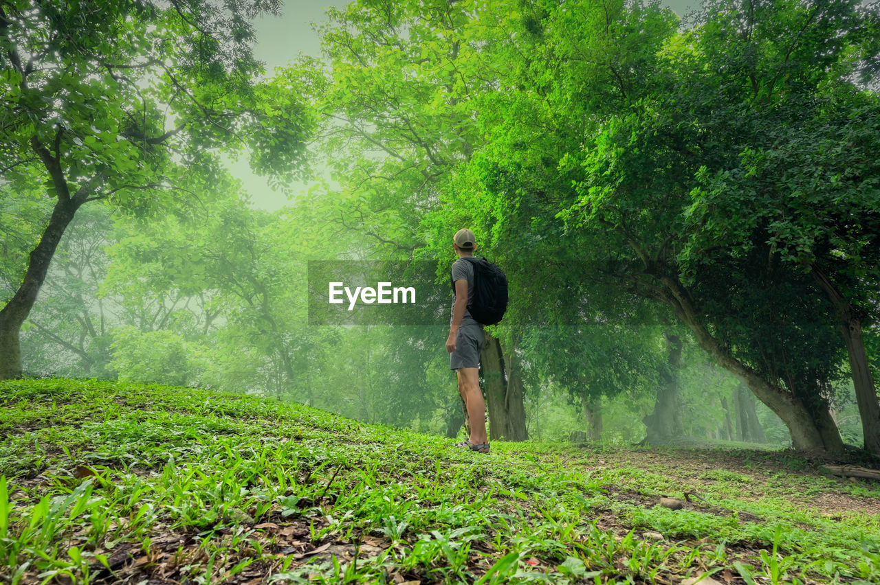 Young man backpacker surrounded by tree and mist , inspiration , motivation , freedom concept