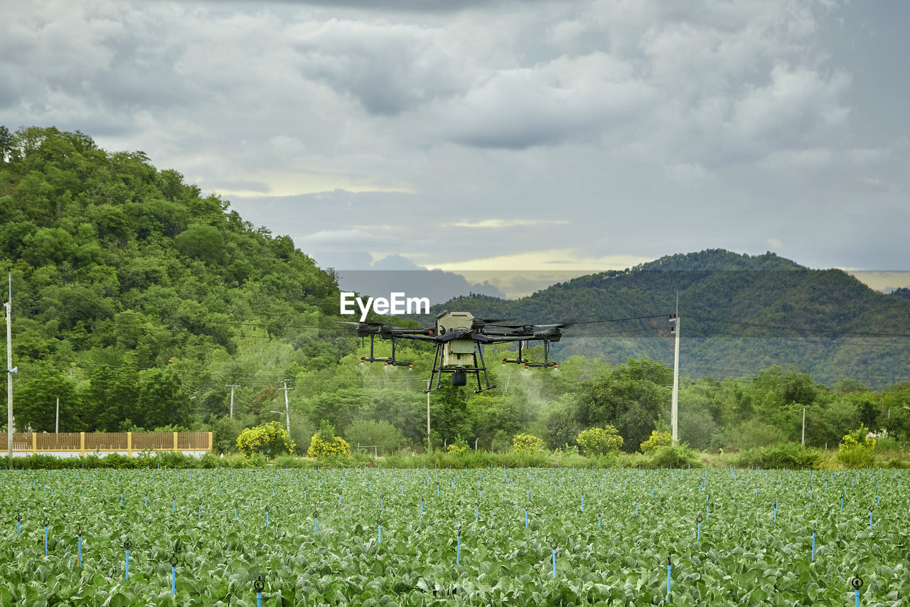 AGRICULTURAL FIELD AGAINST SKY