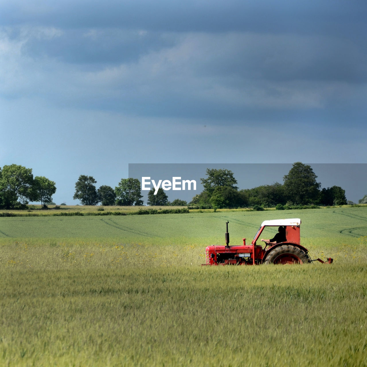 Farmer driving tractor on green field against sky