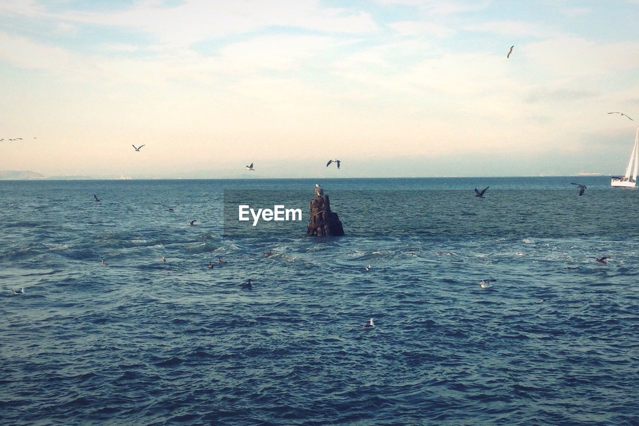 DISTANT VIEW OF SEASCAPE AGAINST CLOUDY SKY