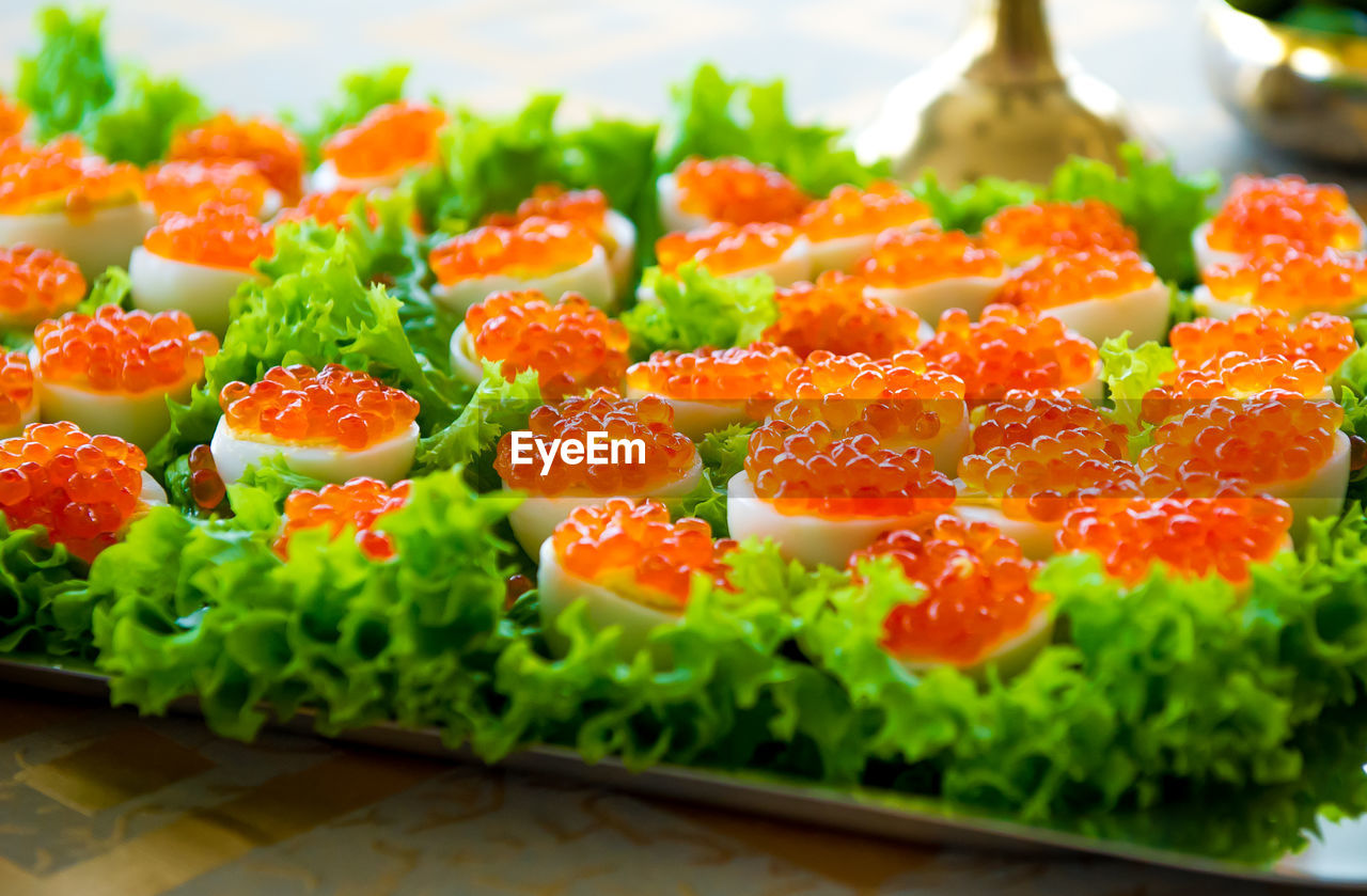 Close-up of sushi on plate