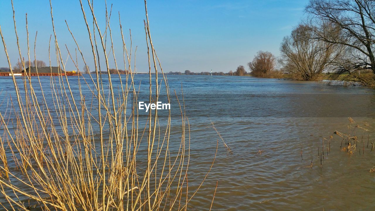 TRANQUIL SCENE OF LAKE