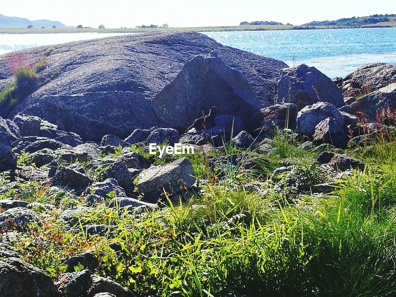 SCENIC VIEW OF SEA WITH TREES IN BACKGROUND