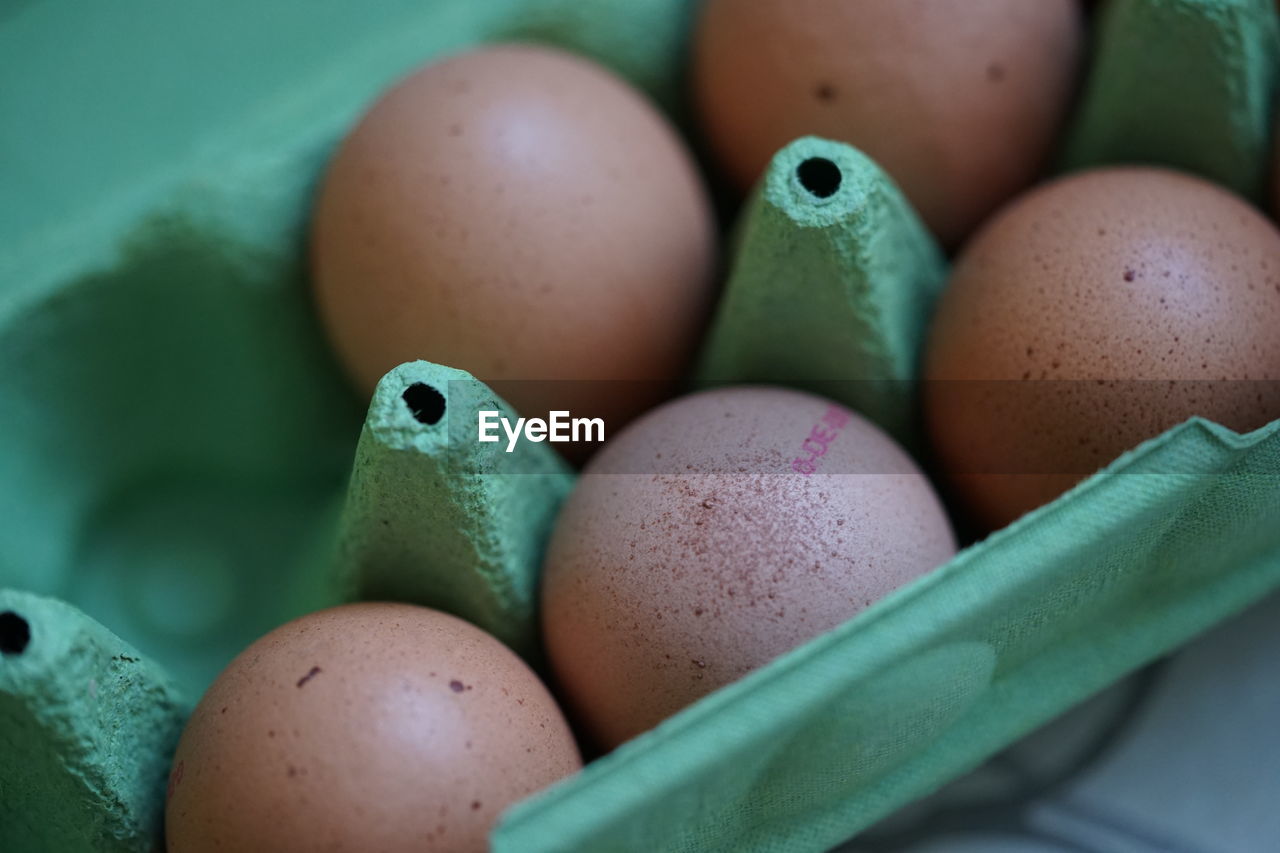 Close-up of  five red eggs in green egg carton