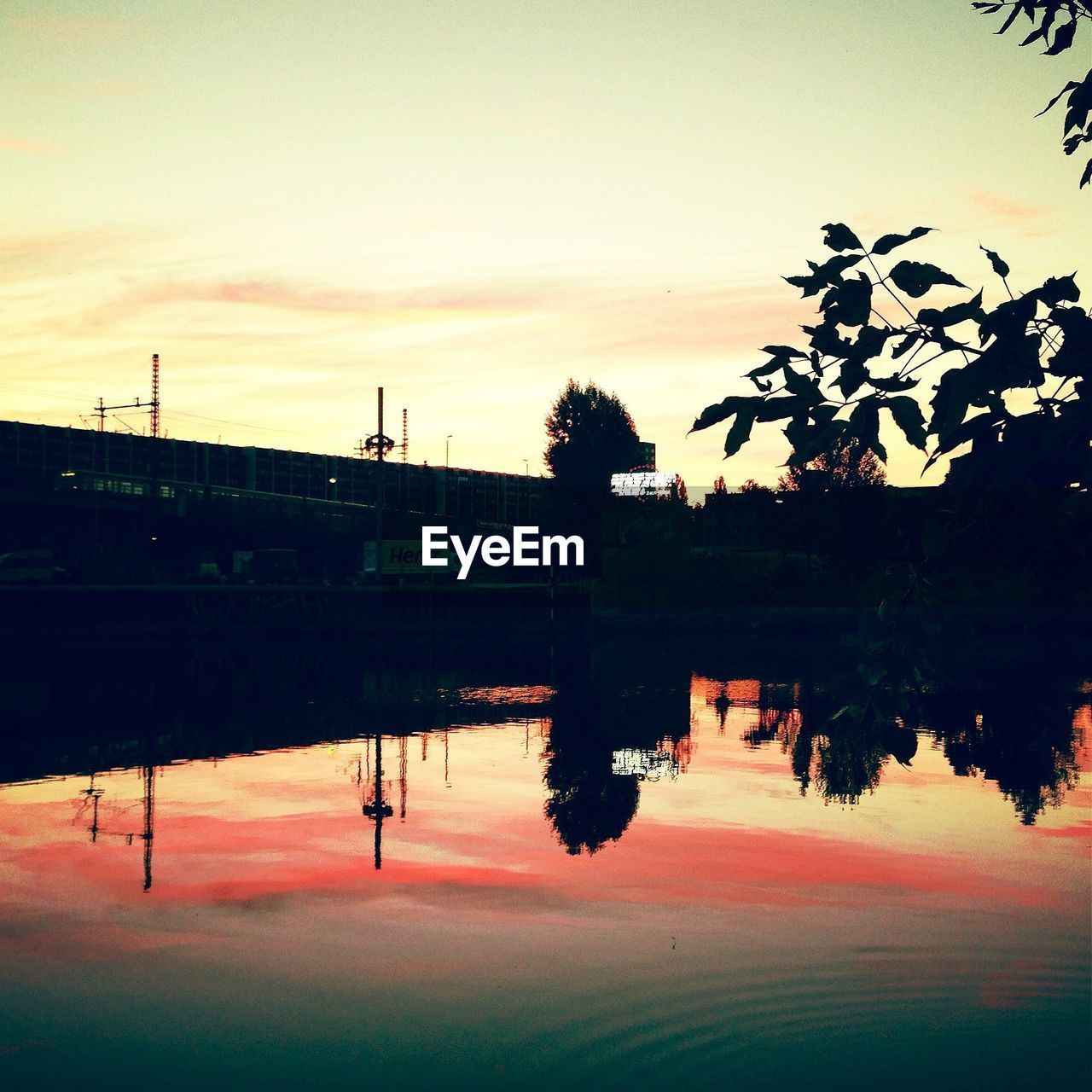 Reflection of silhouette trees in calm lake