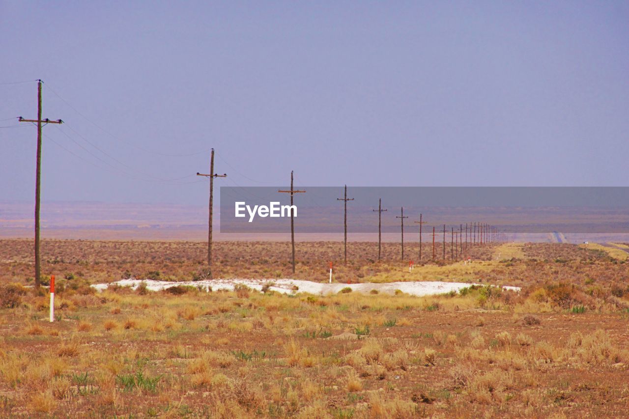 FIELD AGAINST CLEAR SKY