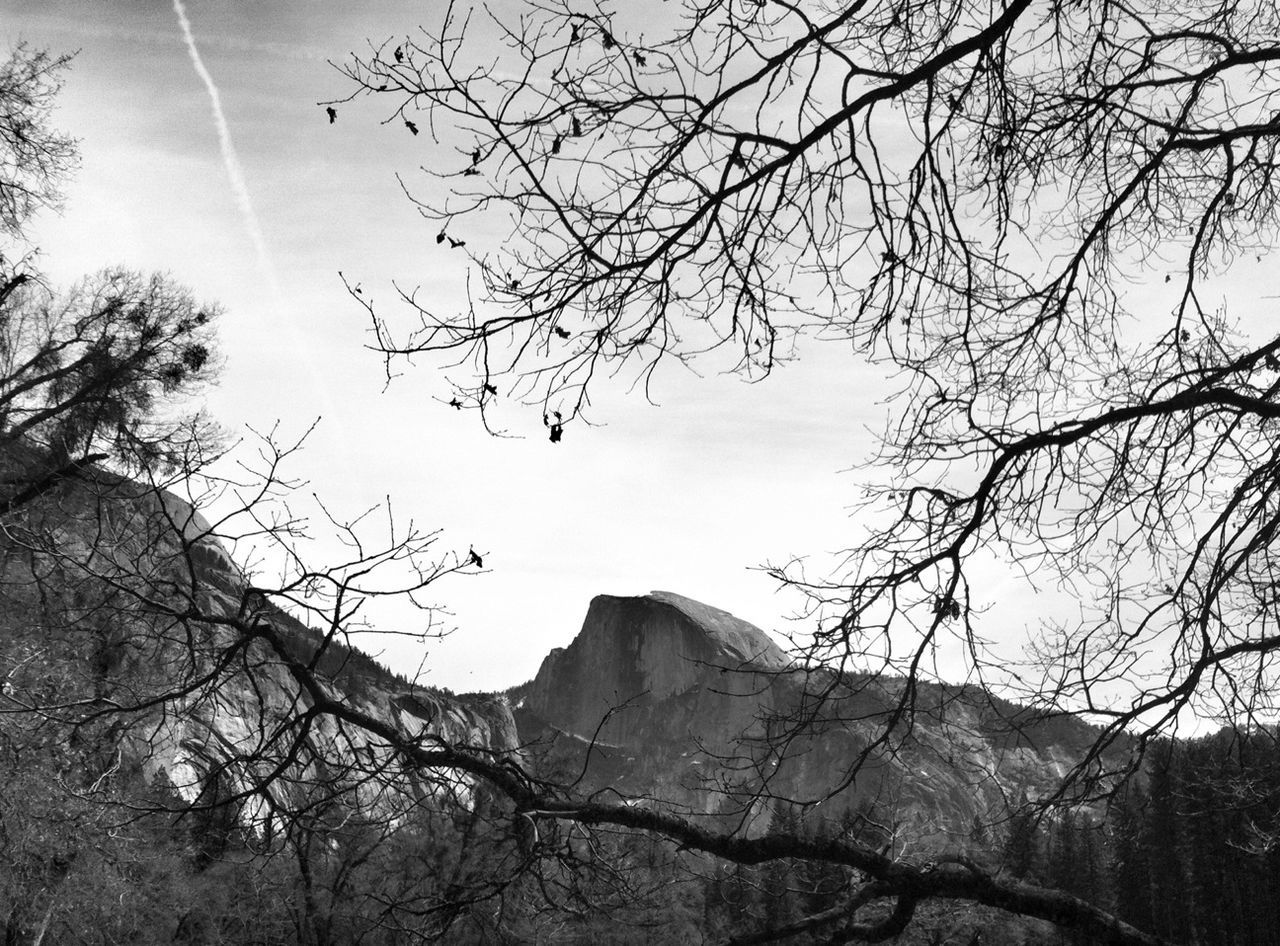 Low angle view of bare trees and mountains against sky