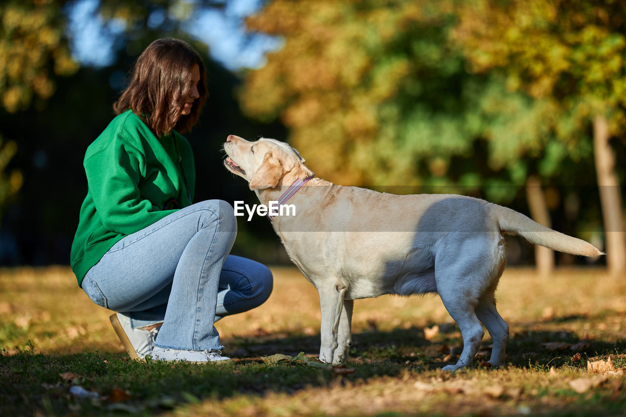 Young woman and her obedient big dog in autumn park