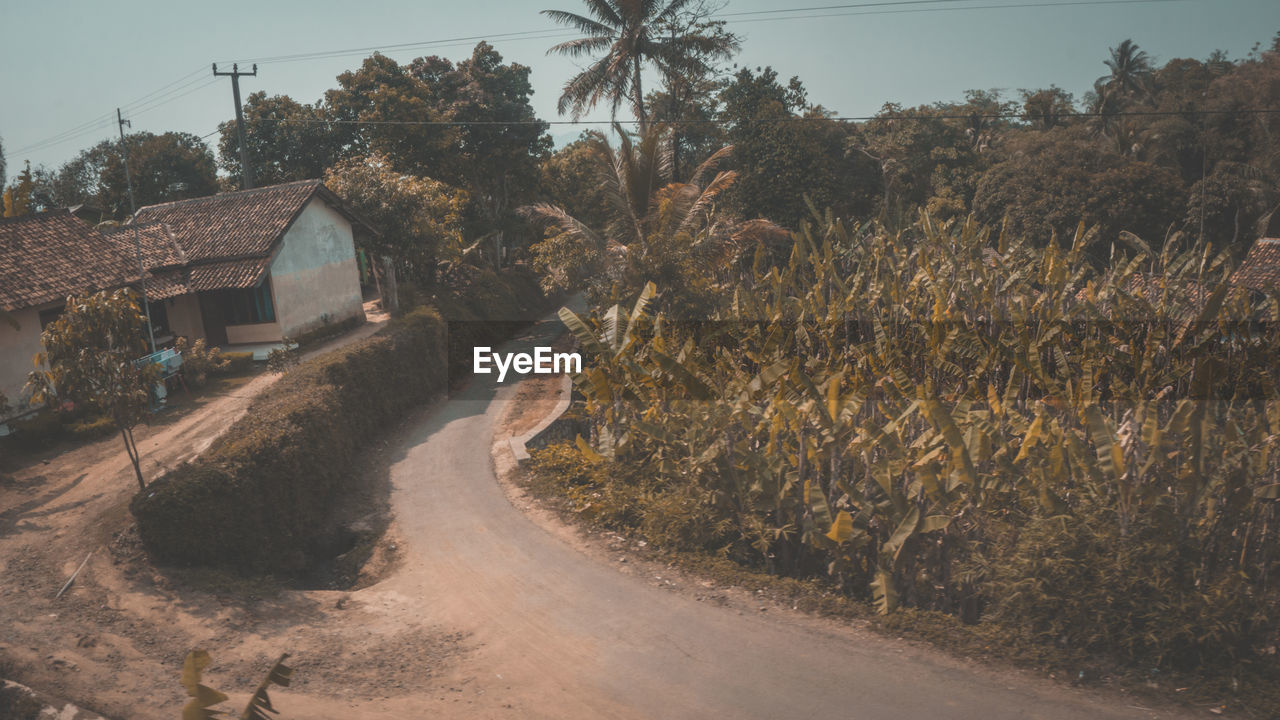 DIRT ROAD AMIDST TREES AND BUILDINGS AGAINST SKY