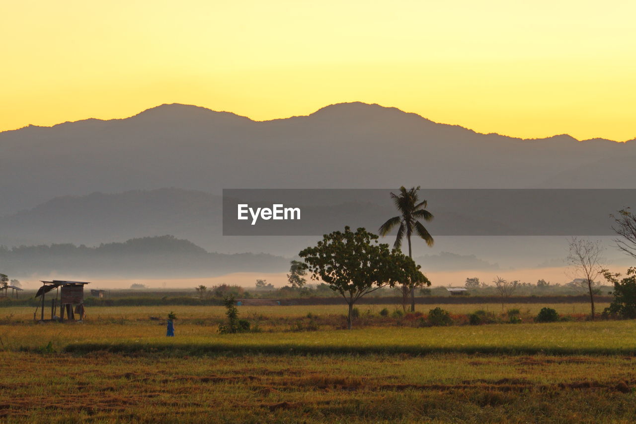 Scenic view of field against sky during sunset