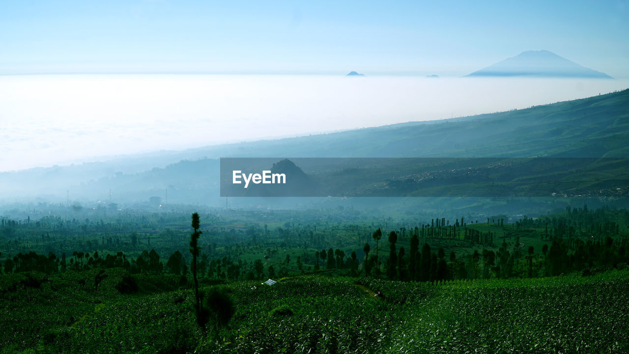 Scenic view of field against sky
