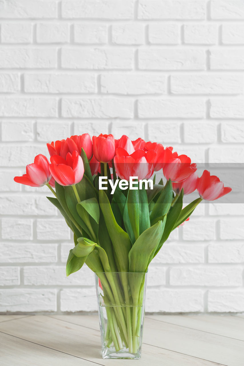 CLOSE-UP OF RED TULIP FLOWERS IN VASE AGAINST WALL