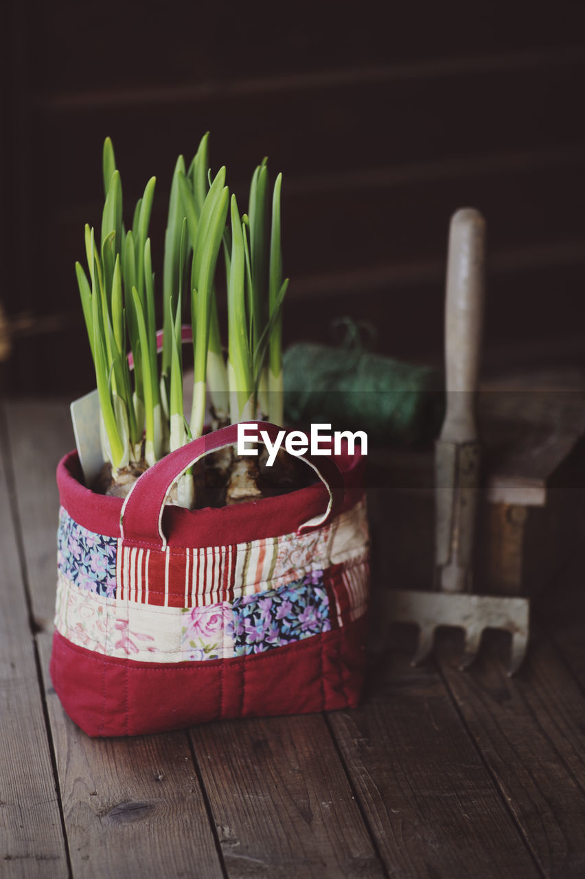 Close-up of spring onions in bag on flooring