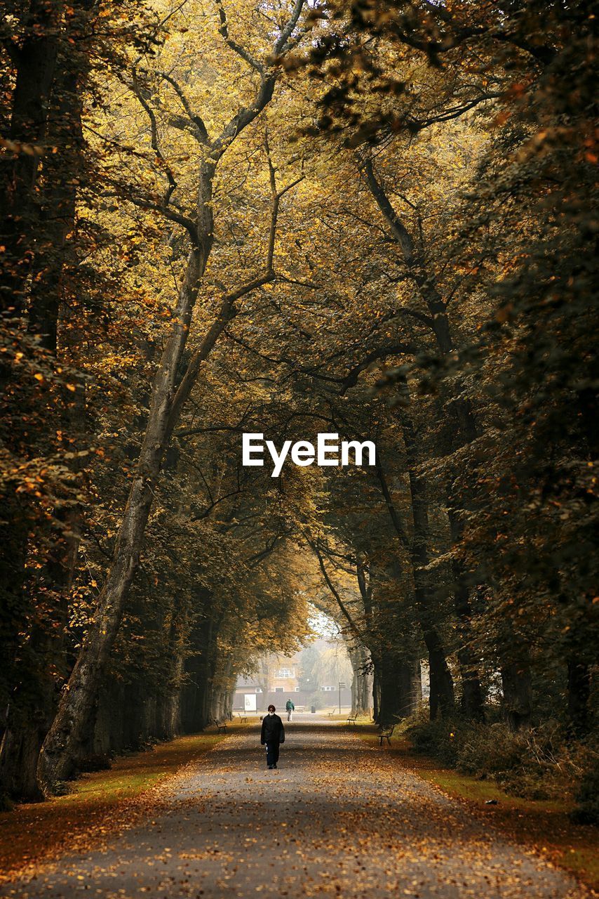 PEOPLE WALKING ON ROAD ALONG TREES