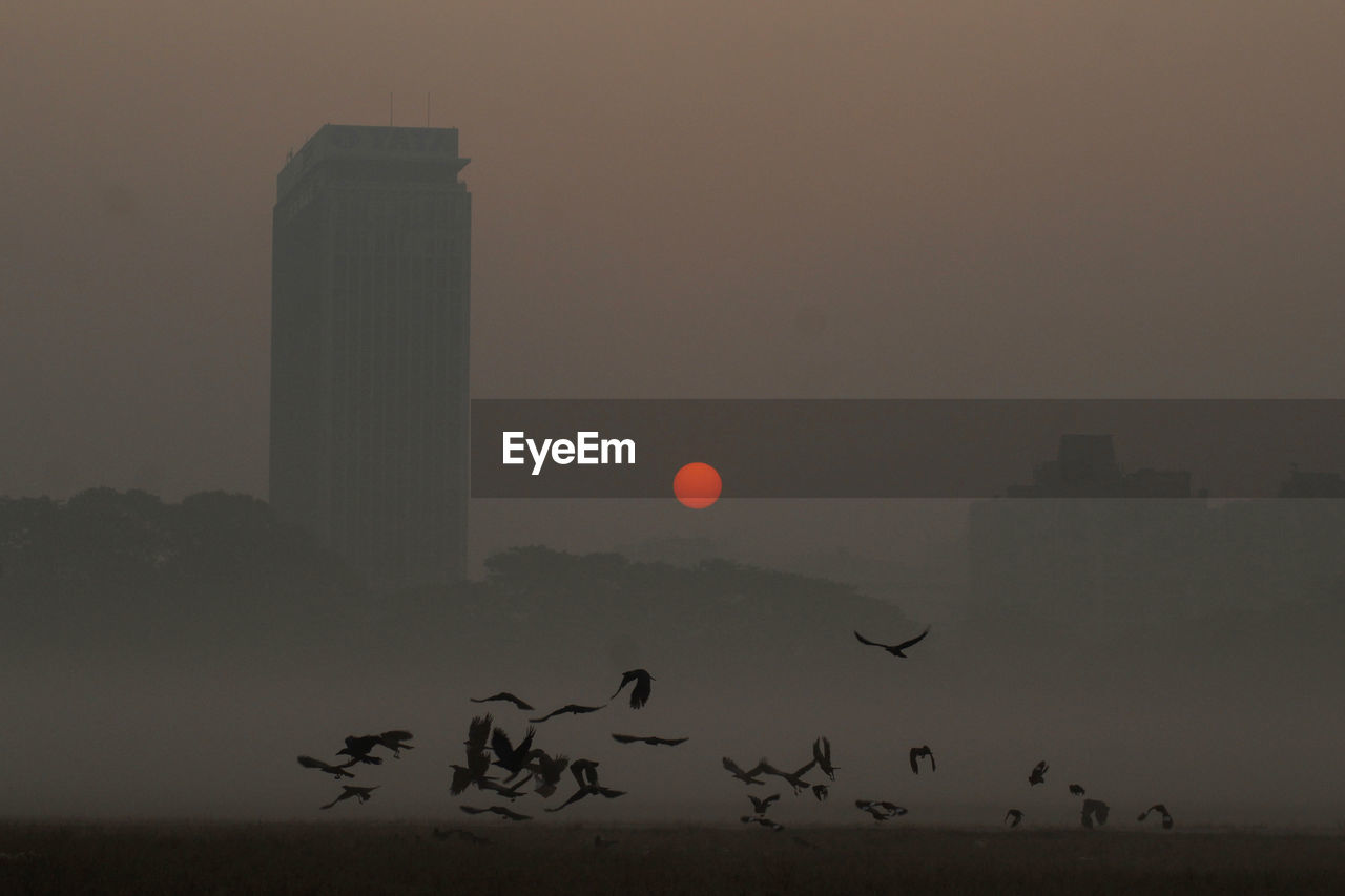 SILHOUETTE OF BIRDS FLYING IN CITY AGAINST SKY