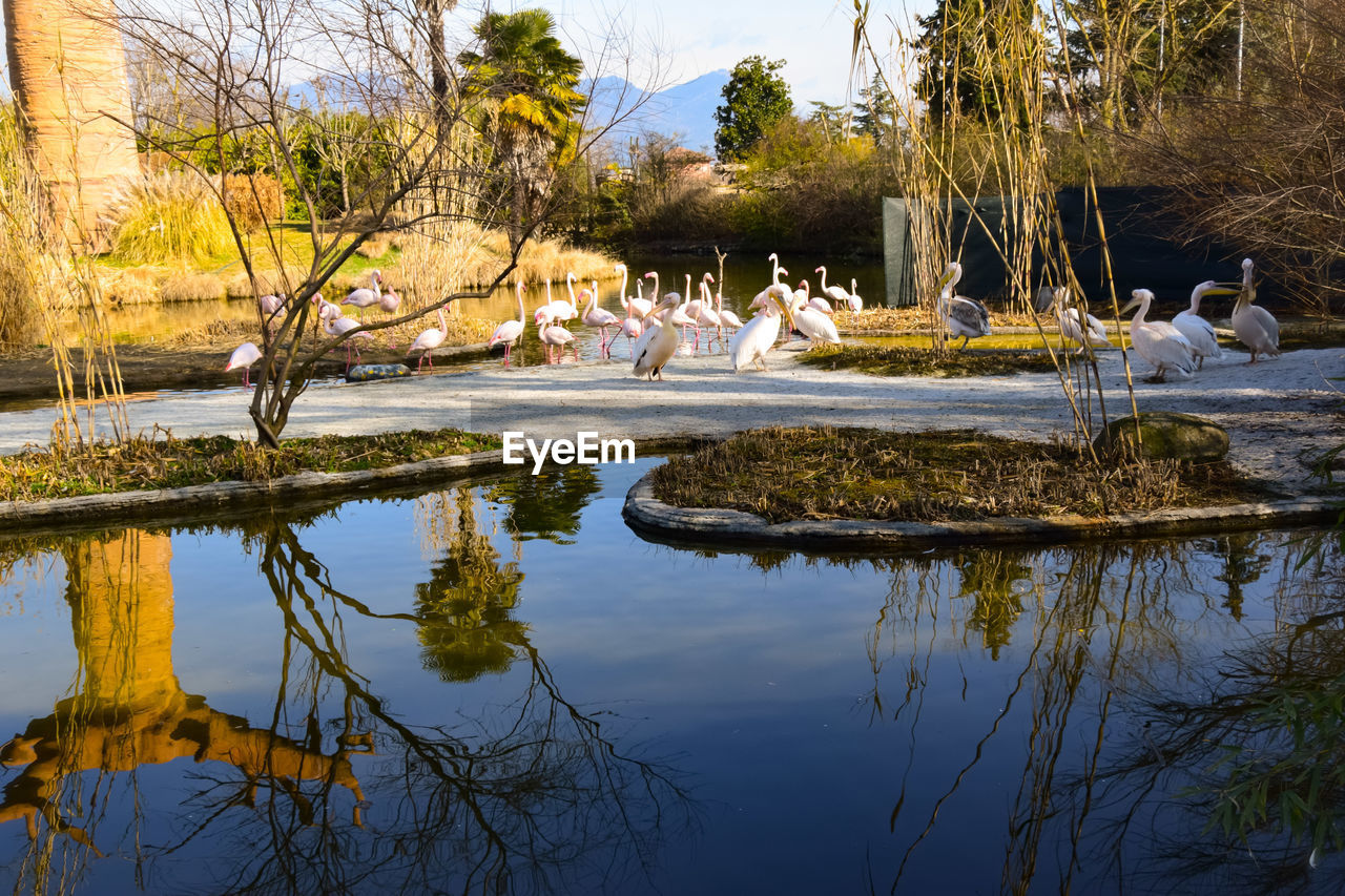 SCENIC VIEW OF LAKE