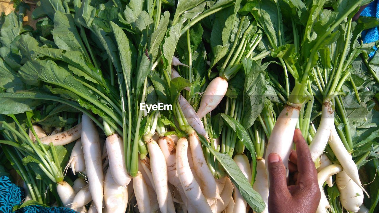 Cropped hand of person holding radish at market stall