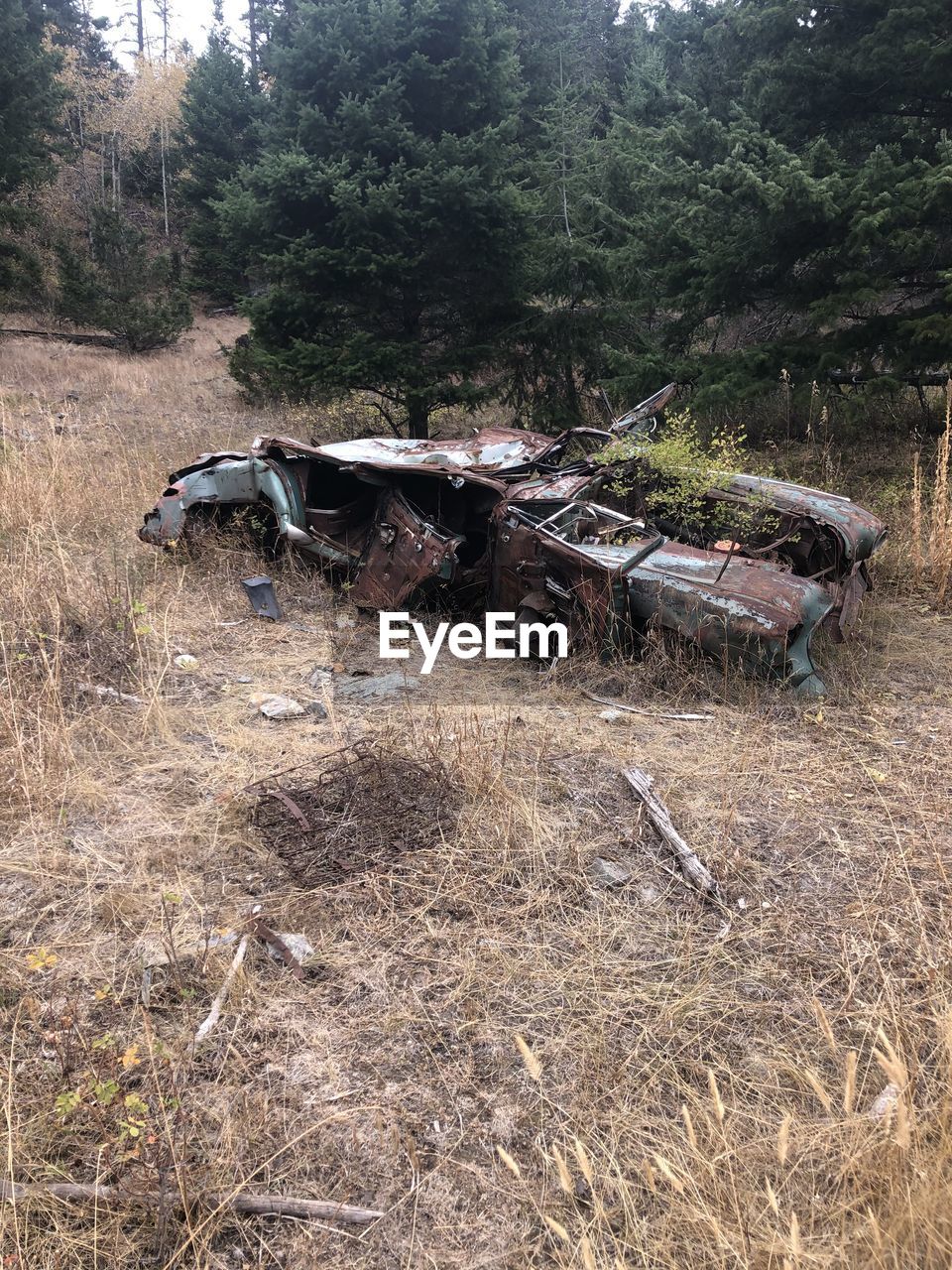 ABANDONED CAR ON FIELD