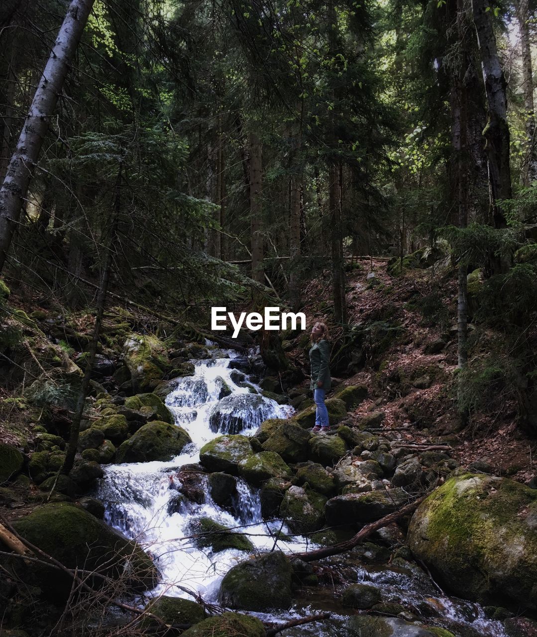 Stream flowing through rocks in forest