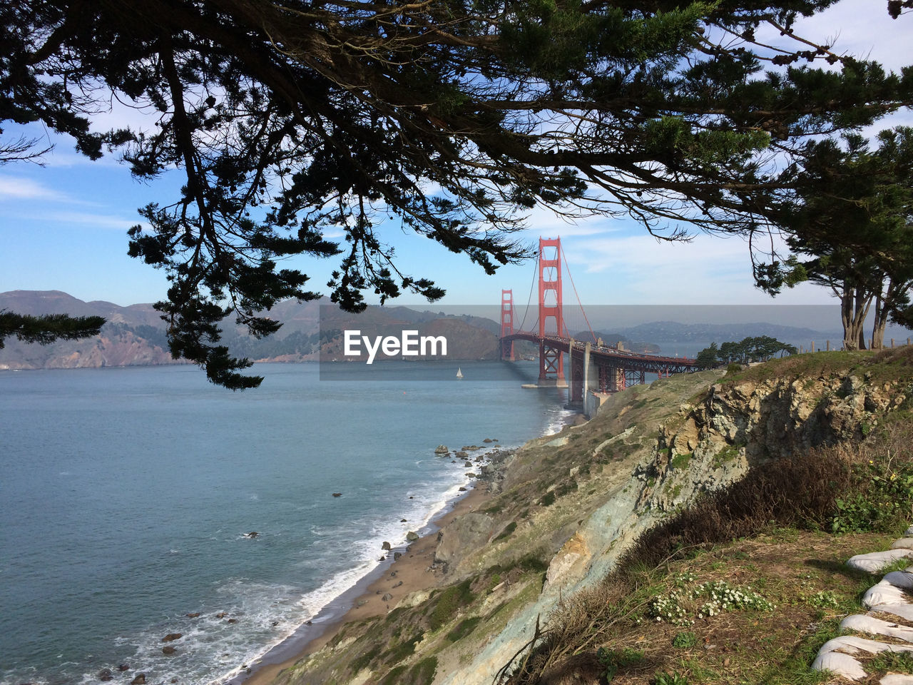 Golden gate bridge over river in front of tree
